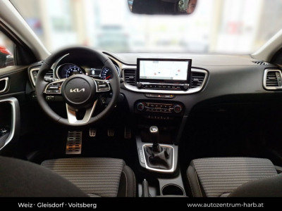 KIA Ceed Tageszulassung