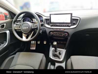 KIA Ceed Tageszulassung