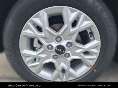 KIA Ceed Tageszulassung