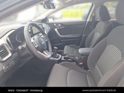 KIA Ceed Tageszulassung