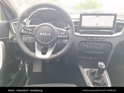 KIA Ceed Tageszulassung