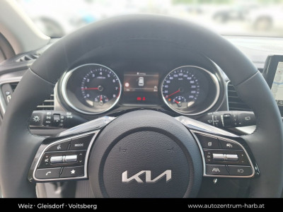 KIA Ceed Tageszulassung