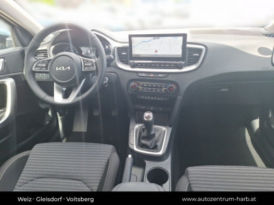 KIA Ceed Tageszulassung