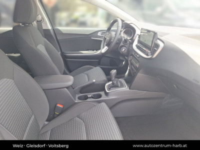 KIA Ceed Tageszulassung