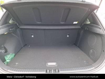 KIA Ceed Vorführwagen