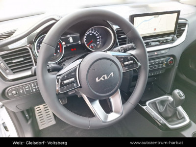 KIA Ceed Vorführwagen