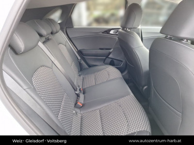 KIA Ceed Vorführwagen