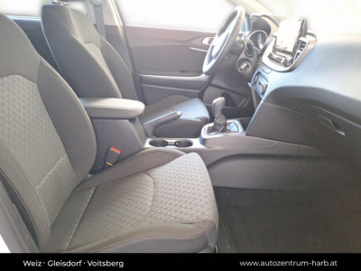 KIA Ceed Vorführwagen KIA Ceed Vorführwagen