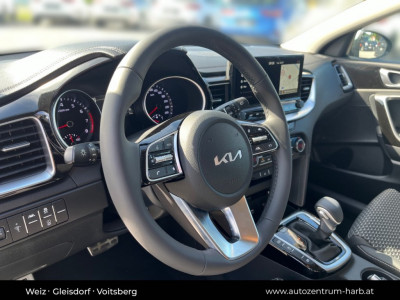 KIA Ceed Neuwagen