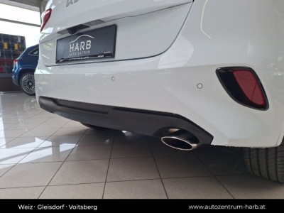 KIA Ceed Tageszulassung