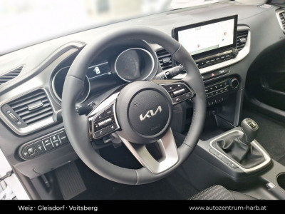 KIA Ceed Tageszulassung