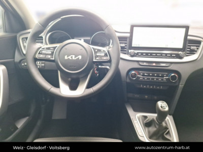 KIA Ceed Tageszulassung