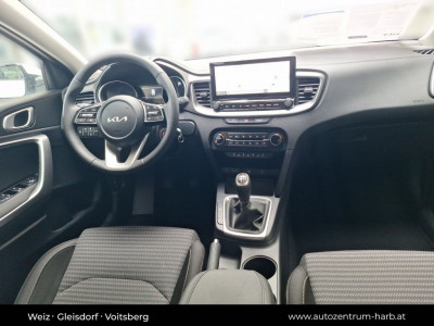 KIA Ceed Tageszulassung