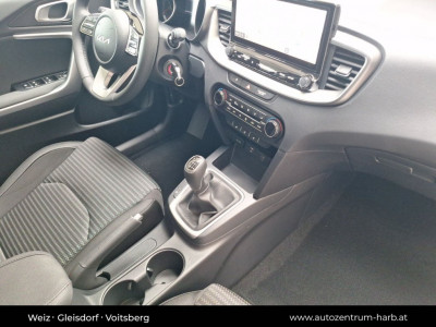 KIA Ceed Tageszulassung