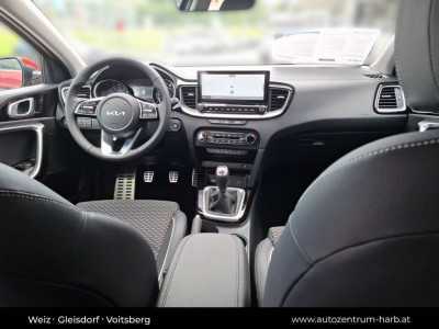 KIA Ceed Neuwagen