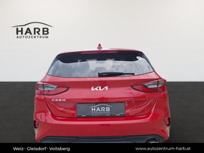 KIA Ceed Neuwagen