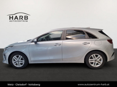 KIA Ceed Gebrauchtwagen