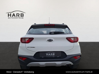 KIA Stonic Gebrauchtwagen