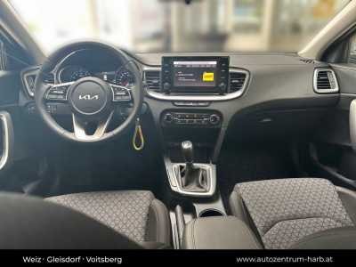 KIA Ceed Gebrauchtwagen