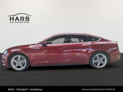 Audi A5 Gebrauchtwagen