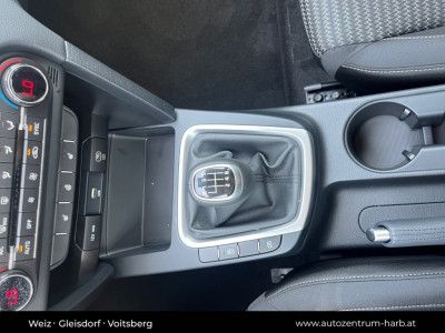 KIA Ceed Vorführwagen