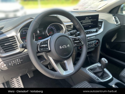 KIA Ceed Vorführwagen