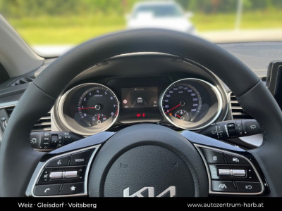 KIA Ceed Vorführwagen