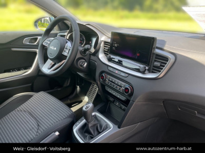 KIA Ceed Vorführwagen