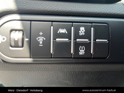 KIA Ceed Vorführwagen