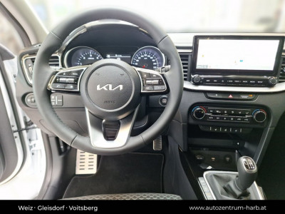 KIA Ceed Tageszulassung