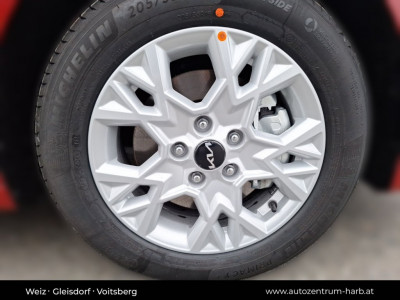 KIA Ceed Vorführwagen