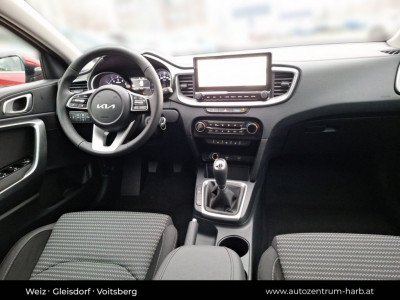 KIA Ceed Vorführwagen