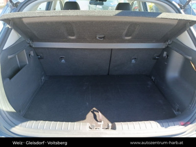 KIA Stonic Vorführwagen