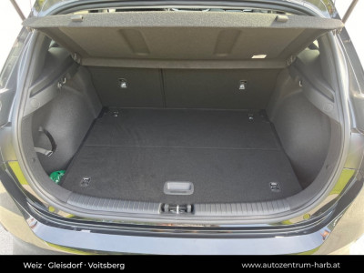 KIA Ceed Vorführwagen