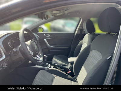 KIA Ceed Vorführwagen