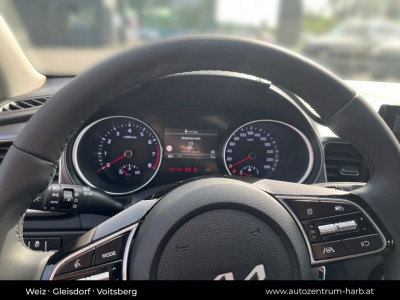 KIA Ceed Vorführwagen