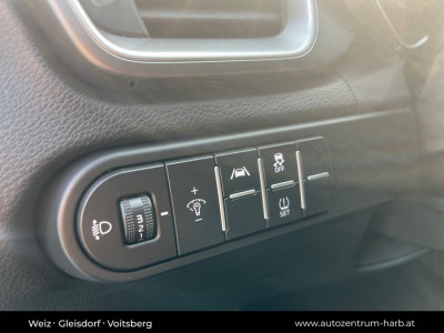 KIA Ceed Vorführwagen