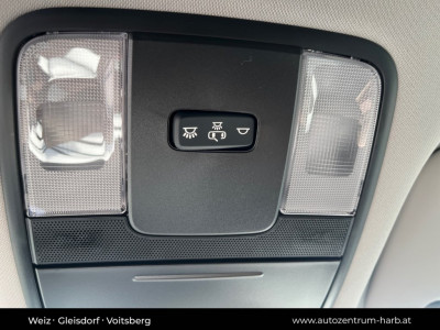 KIA Ceed Vorführwagen