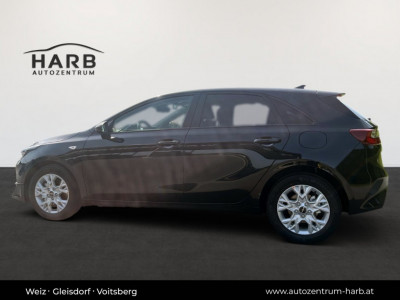 KIA Ceed Vorführwagen