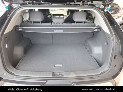 KIA EV3 Vorführwagen KIA EV3 Vorführwagen