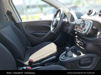 Smart forfour Gebrauchtwagen