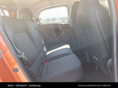 Smart forfour Gebrauchtwagen