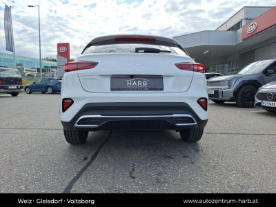 KIA XCeed Neuwagen KIA XCeed Neuwagen