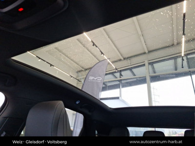 BYD Sealion 7 Vorführwagen