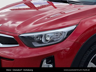 KIA Stonic Vorführwagen KIA Stonic Vorführwagen