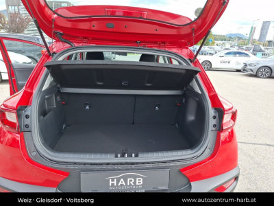 KIA Stonic Vorführwagen