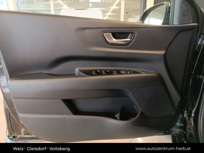 KIA Stonic Vorführwagen