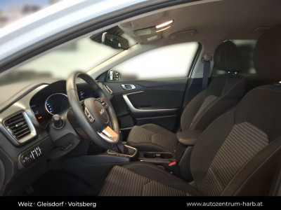 KIA Ceed Gebrauchtwagen KIA Ceed Gebrauchtwagen