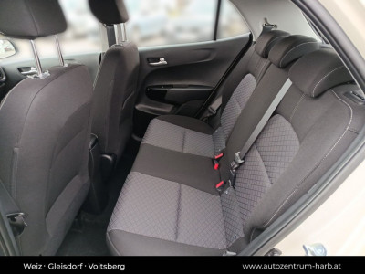 KIA Picanto Neuwagen