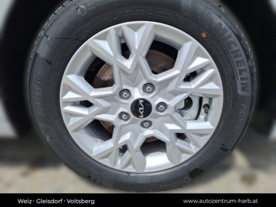 KIA Ceed Vorführwagen KIA Ceed Vorführwagen